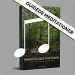 Guidede meditationer
